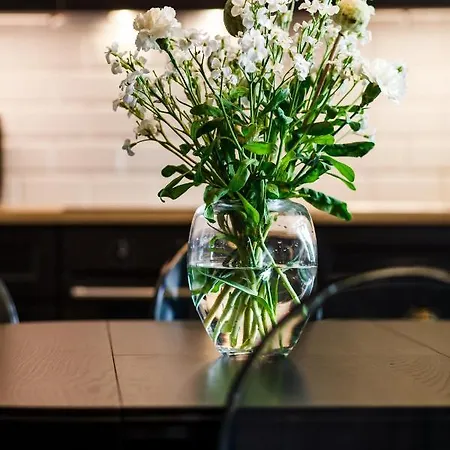 Happy Monte Cassino 44 A * ソポト